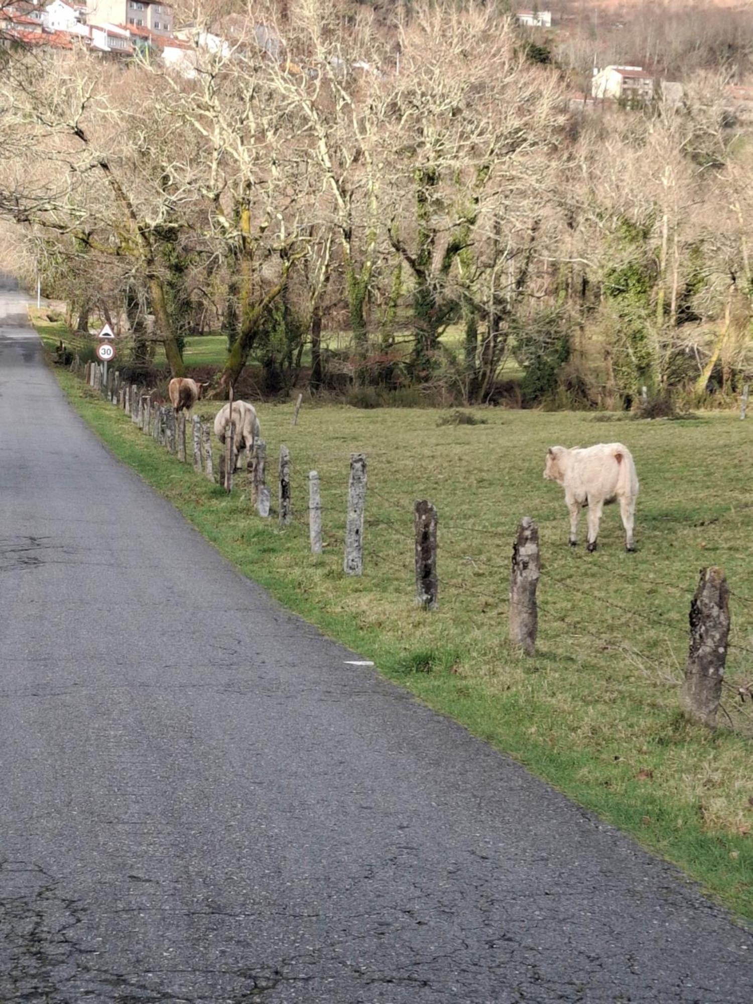 Vive Una Escapada Rural Con Alma, Cerca De Todo Y Lejos Del Ruido Pontevedra Bagian luar foto